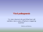 Viral pathogenesis