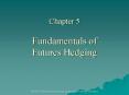 Chapter 5 Fundamentals of Futures Hedging PowerPoint PPT Presentation