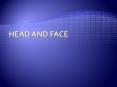 Head and Face PowerPoint PPT Presentation