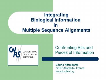 Integrating Biological Information In Multiple Sequence Alignments