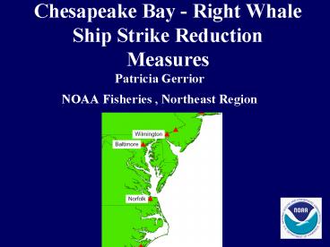 Chesapeake Bay - Right Whale Ship Strike Reduction Measures