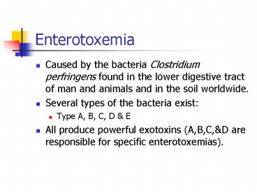 Enterotoxemia