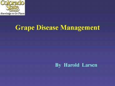 Grape Disease Management