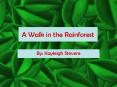 A Walk in the Rainforest PowerPoint PPT Presentation