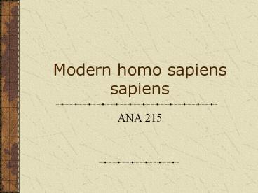 Modern homo sapiens sapiens