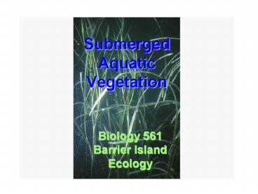 Submerged Aquatic Vegetation