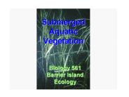 Submerged Aquatic Vegetation