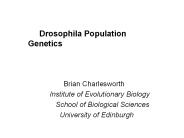 Drosophila%20Population%20Genetics