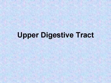 Upper Digestive Tract