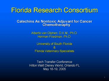 Florida Research Consortium