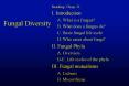 Fungal Diversity PowerPoint PPT Presentation