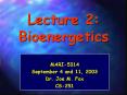 Lecture 2: Bioenergetics PowerPoint PPT Presentation