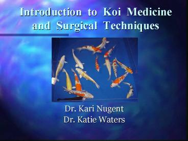 Introduction to Koi Medicine and Surgical Techniques