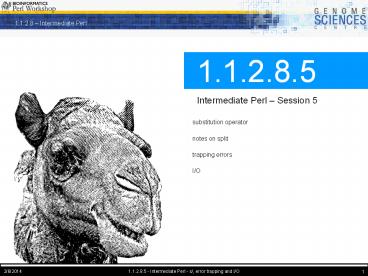 presentation player overlay