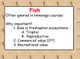 Fish Often ignored in limnology courses Why important 1' Role in freshwater ecosystems A' Trophic B' PowerPoint PPT Presentation