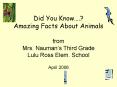Did You Know' Amazing Facts About Animals from Mrs' Naumans Third Grade Lulu Ross Elem' School PowerPoint PPT Presentation