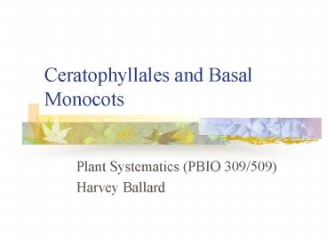 Ceratophyllales and Basal Monocots