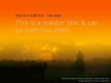 Mustering Cattle at Sunset, Longreach, Outback Queensland