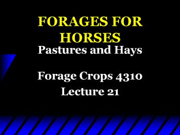 presentation player overlay