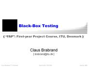 Black-Box Testing
