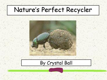 Natures Perfect Recycler