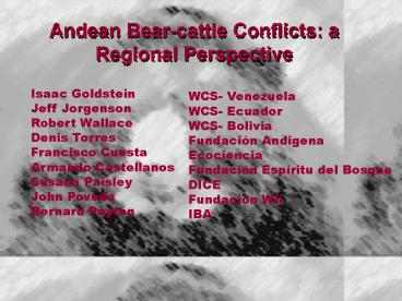 Andean Bearcattle Conflicts: a Regional Perspective