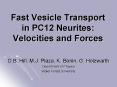 Fast Vesicle Transport in PC12 Neurites: Velocities and Forces PowerPoint PPT Presentation