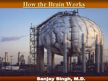 How the Brain Works