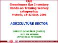 CGE%20Greenhouse%20Gas%20Inventory%20Hands-on%20Training%20Workey%20categoryhop%20Pretoria,%2018-22%20Sept.%202006%20%20AGRICULTURE%20SECTOR%20SERGIO%20GONZ PowerPoint PPT Presentation