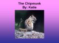 The Chipmunk By: Katie PowerPoint PPT Presentation