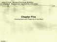 Chapter Five Development and Plasticity of the Brain PowerPoint PPT Presentation