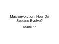 Macroevolution: How Do Species Evolve? PowerPoint PPT Presentation