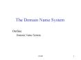 The Domain Name System PowerPoint PPT Presentation