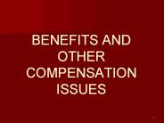 BENEFITS AND OTHER COMPENSATION ISSUES