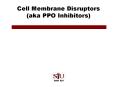 Cell Membrane Disruptors aka PPO Inhibitors PowerPoint PPT Presentation