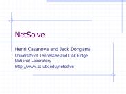 NetSolve