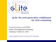 gLite, the next generation middleware for Grid computing