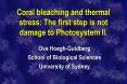 Coral bleaching and thermal stress: The first step is not damage to Photosystem II. PowerPoint PPT Presentation
