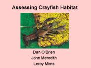 Assessing Crayfish Habitat