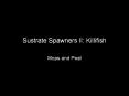 Sustrate Spawners II: Killifish PowerPoint PPT Presentation