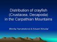 Distribution of crayfish Crustacea, Decapoda in the Carpathian Mountains PowerPoint PPT Presentation