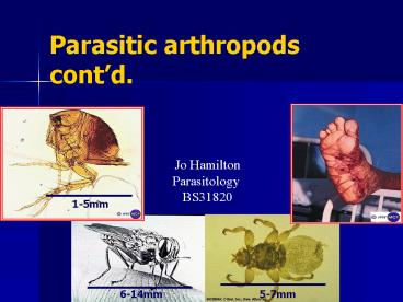 Parasitic arthropods contd'