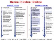 Human Evolution Timelines