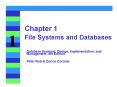 File Systems and Databases PowerPoint PPT Presentation