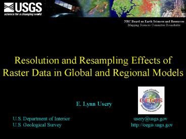 Resolution and Resampling Effects of Raster Data in Global and Regional Models