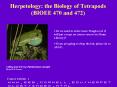 Herpetology: the Biology of Tetrapods BIOEE 470 and 472 PowerPoint PPT Presentation