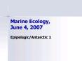 Marine Ecology, June 4, 2007 PowerPoint PPT Presentation