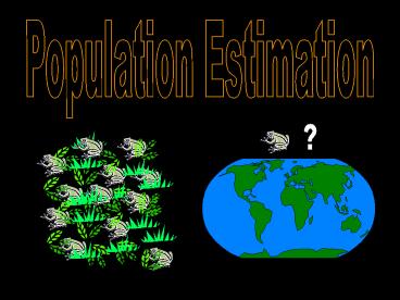 Population Estimation