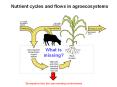 Nutrient cycles and flows in agroecosystems PowerPoint PPT Presentation