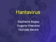 Hantavirus PowerPoint PPT Presentation